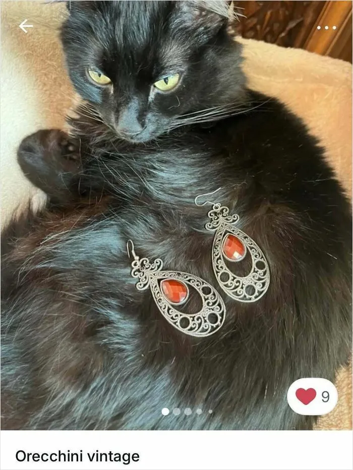 100 Hilarious Cat Cameos People Caught In Vinted Listings