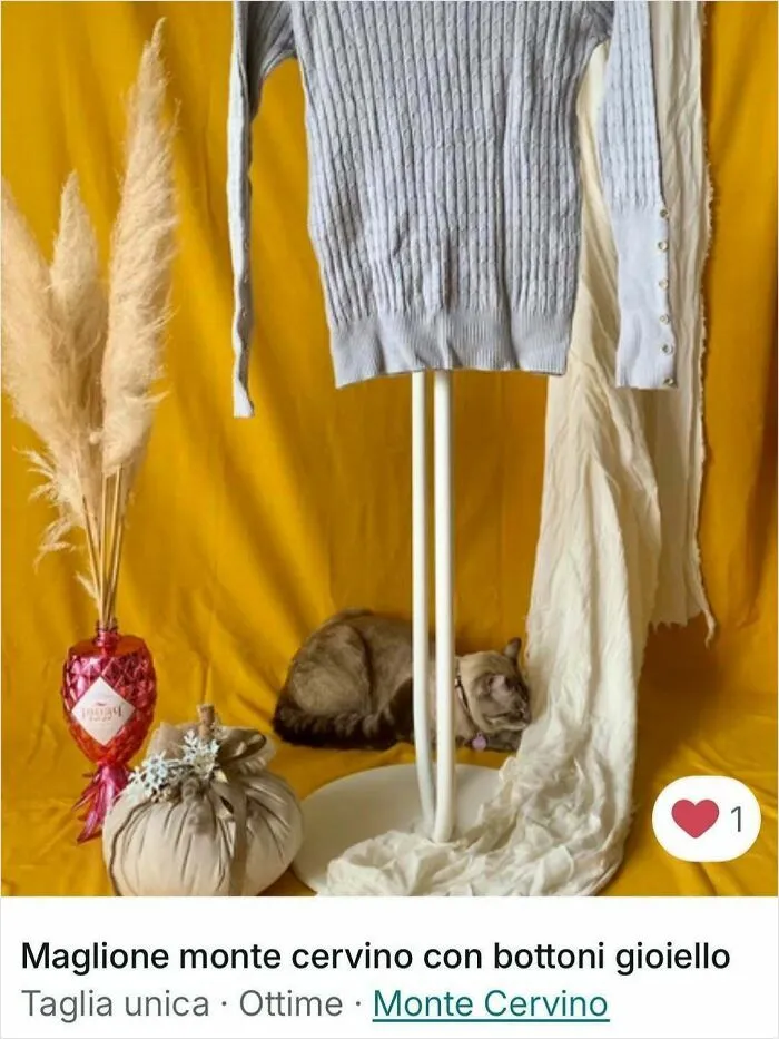 Cat resting behind a clothing display with a grey sweater and white scarf in a Vinted ad spotlight.