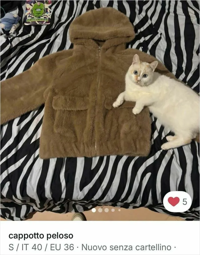 100 Hilarious Cat Cameos People Caught In Vinted Listings