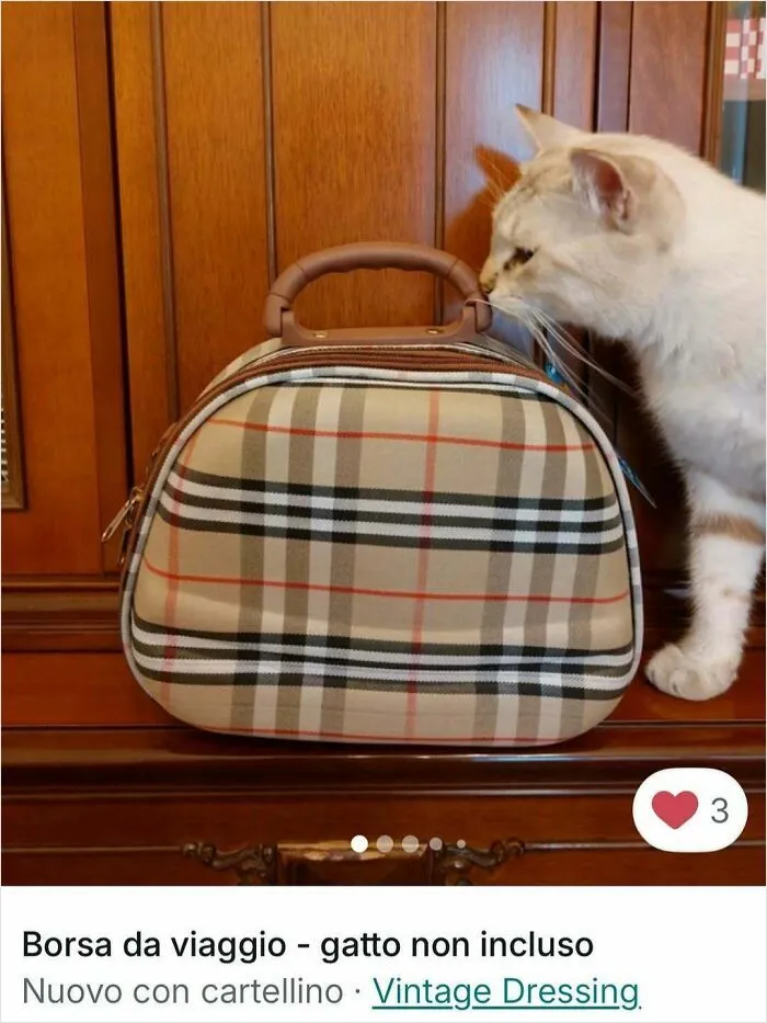 Cat sniffing a vintage plaid travel bag on wooden furniture, showing cats stealing the spotlight in Vinted ads.