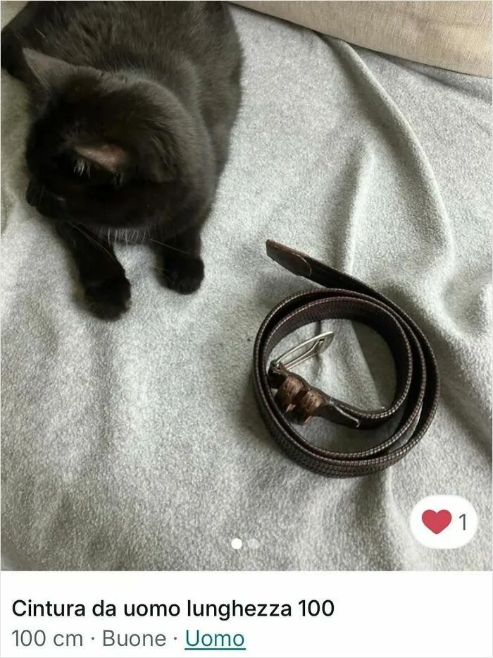 Black cat lying next to a coiled brown belt on a gray blanket, cats stealing the spotlight in Vinted ads.