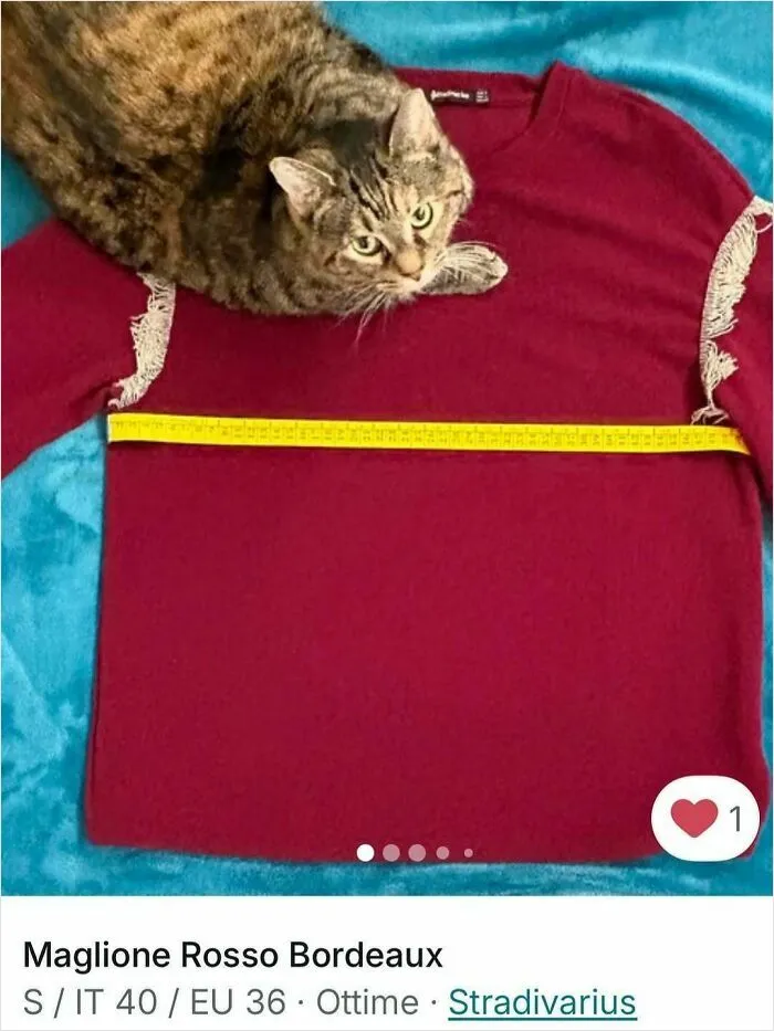 Tabby cat lying on a red sweater with a measuring tape, cats stealing the spotlight in Vinted ads.