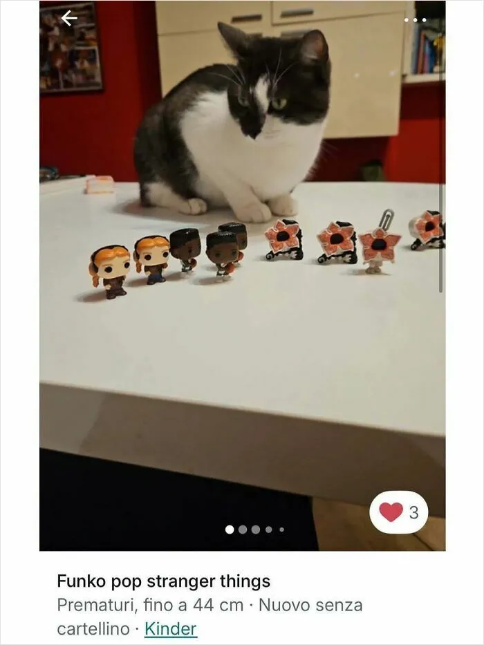 Cat curiously watching Funko Pop Stranger Things figures on a table, highlighting cats in Vinted ads.