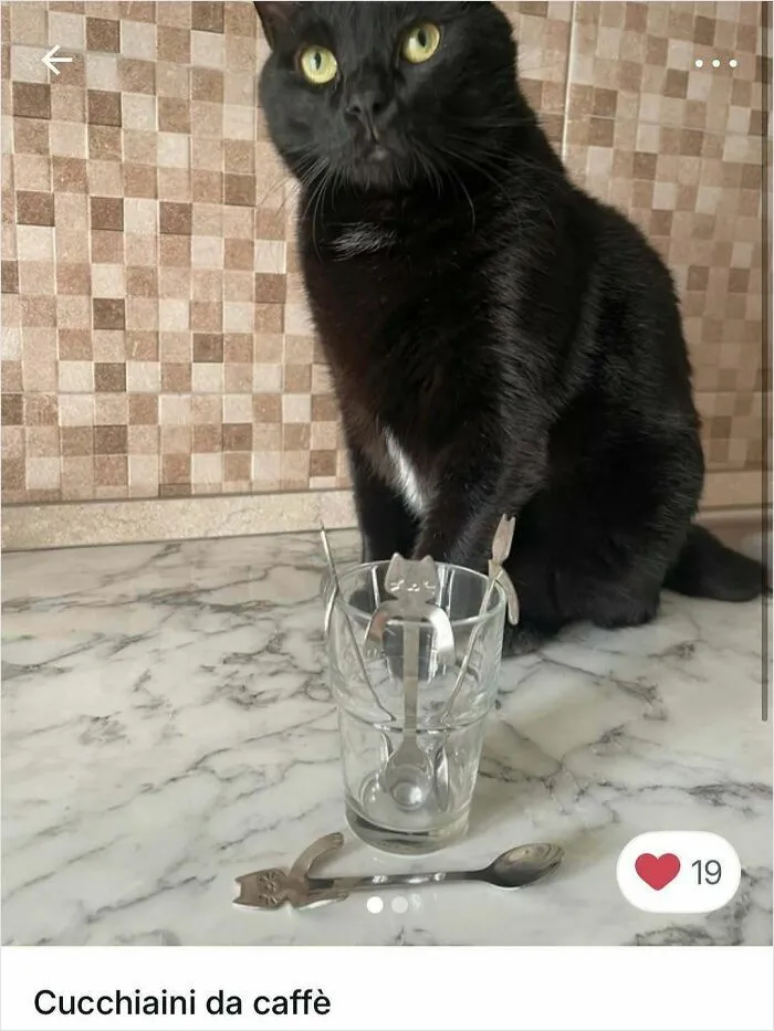100 Hilarious Cat Cameos People Caught In Vinted Listings