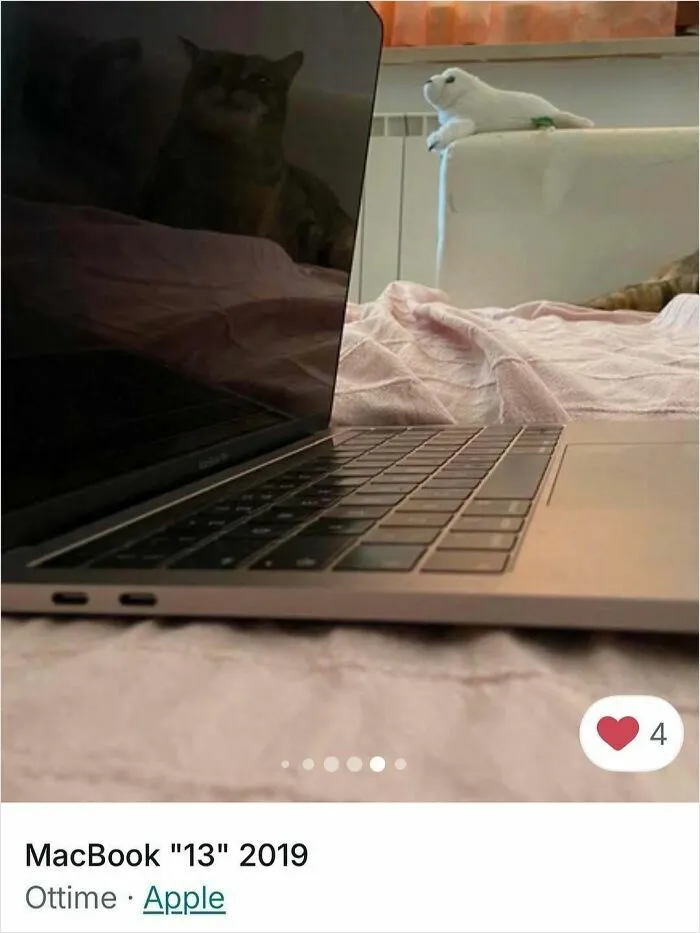 100 Hilarious Cat Cameos People Caught In Vinted Listings