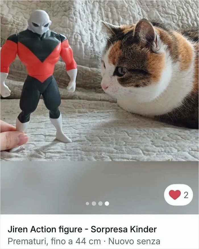 100 Hilarious Cat Cameos People Caught In Vinted Listings