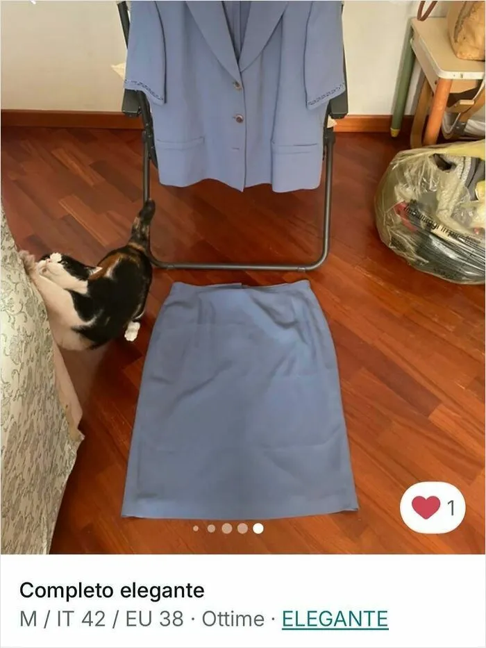 Cat playing near an elegant blue outfit on the floor, showing cats stealing the spotlight in Vinted ads.