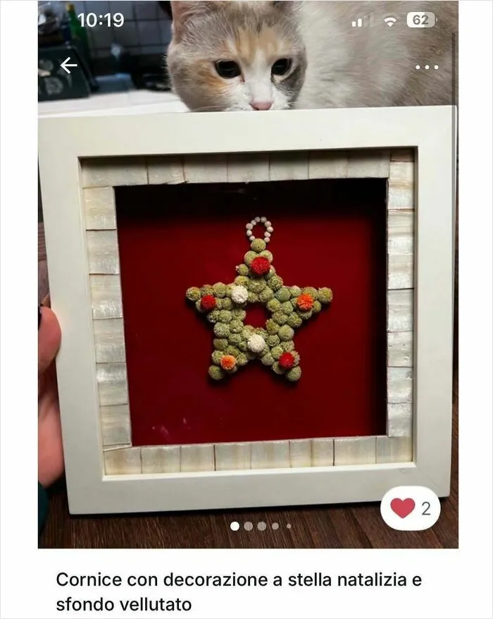 Curious cat peeks over a white frame with a star decoration in a Vinted ad, showcasing cats stealing the spotlight.