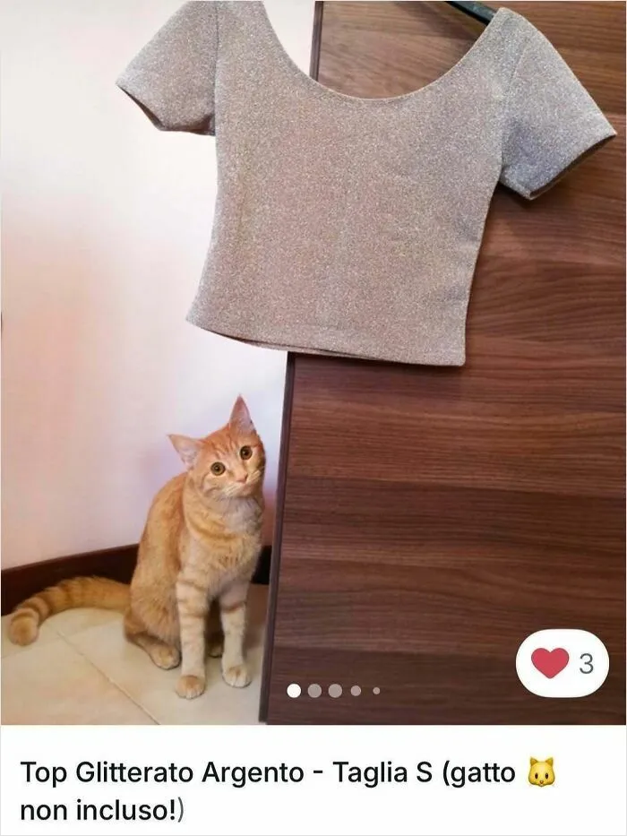Orange cat sitting next to a wooden wardrobe with a silver glittery top hanging in a Vinted ad spotlight.