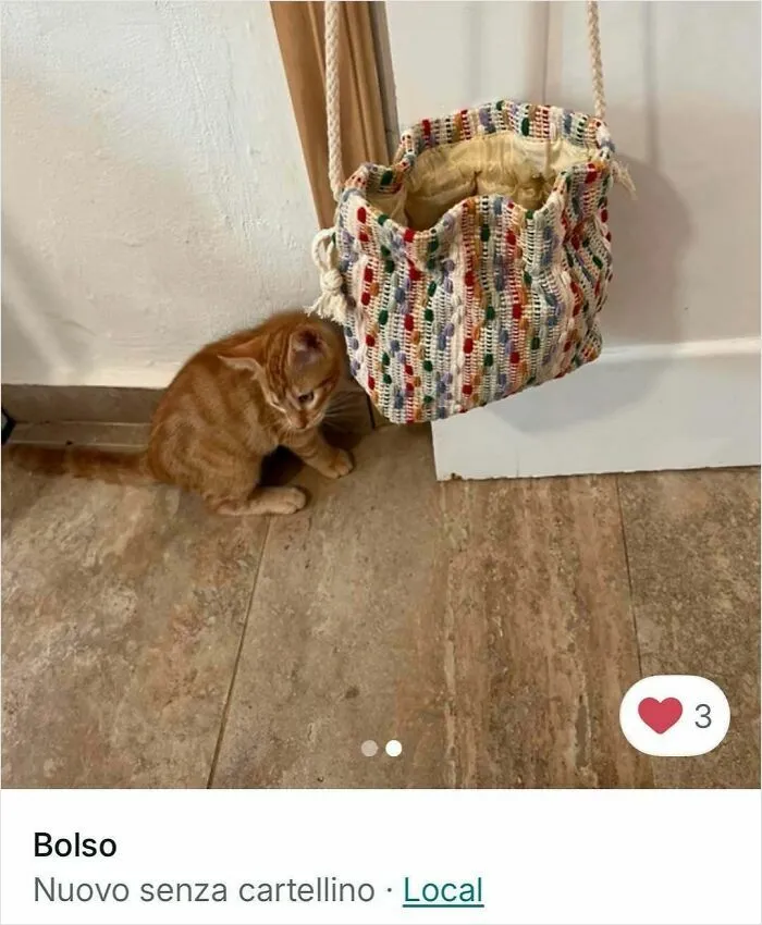 Ginger cat sitting on floor next to colorful woven bag hanging from a door, highlighting cats in Vinted ads.