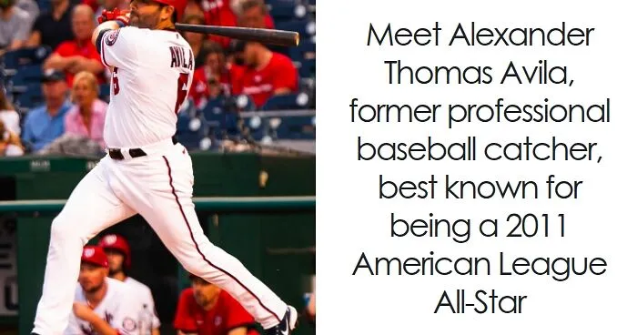 Alex Avila: Bio And Career Highlights