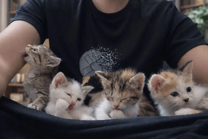 Rescued These Smol Criminals From A Garbage Dump And Found Them Forever Homes!