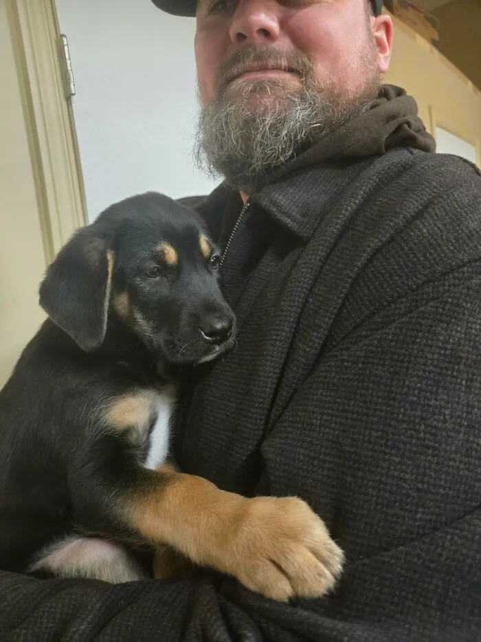 Meet Maggie! Adopted Today, Have To Wait Until Friday To Bring Her Home... Going To Be A Loooong Week!