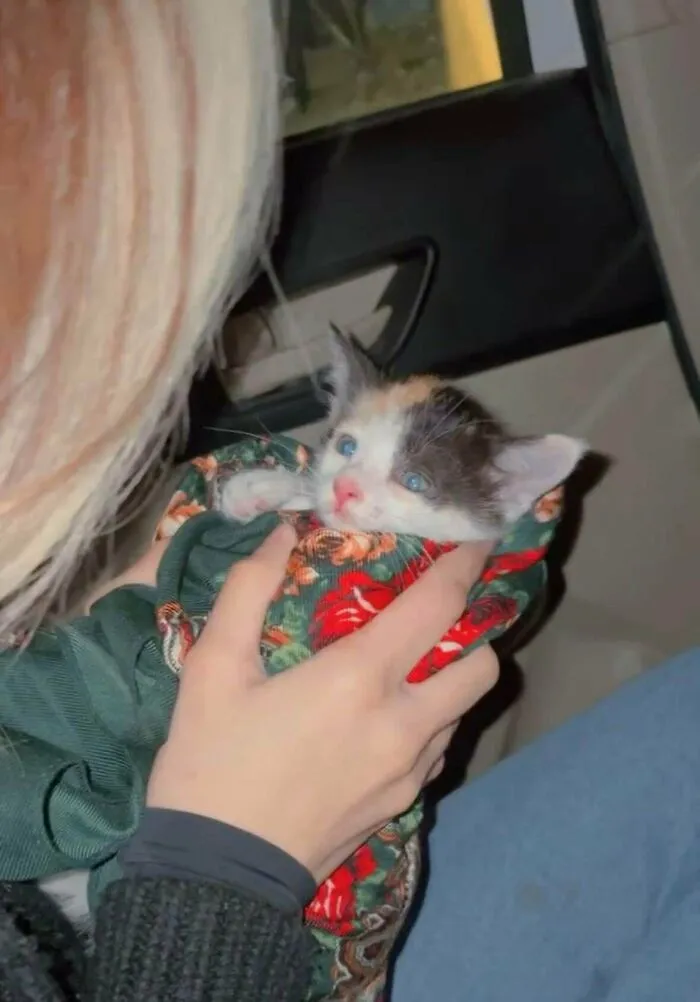 She Was About To Be Thrown Away. Now She’s Home