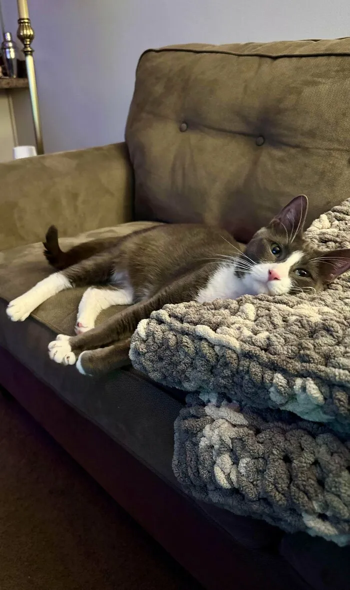My New Buddy Lou Adopted From The Local Humane Society!