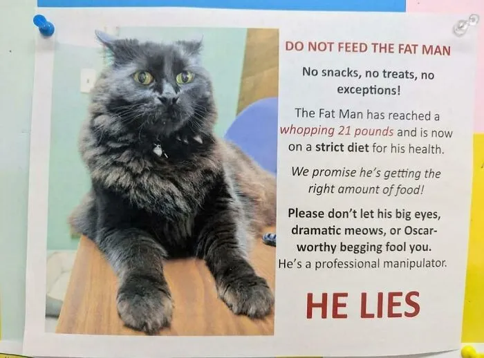 Do Not Feed The Fat Man