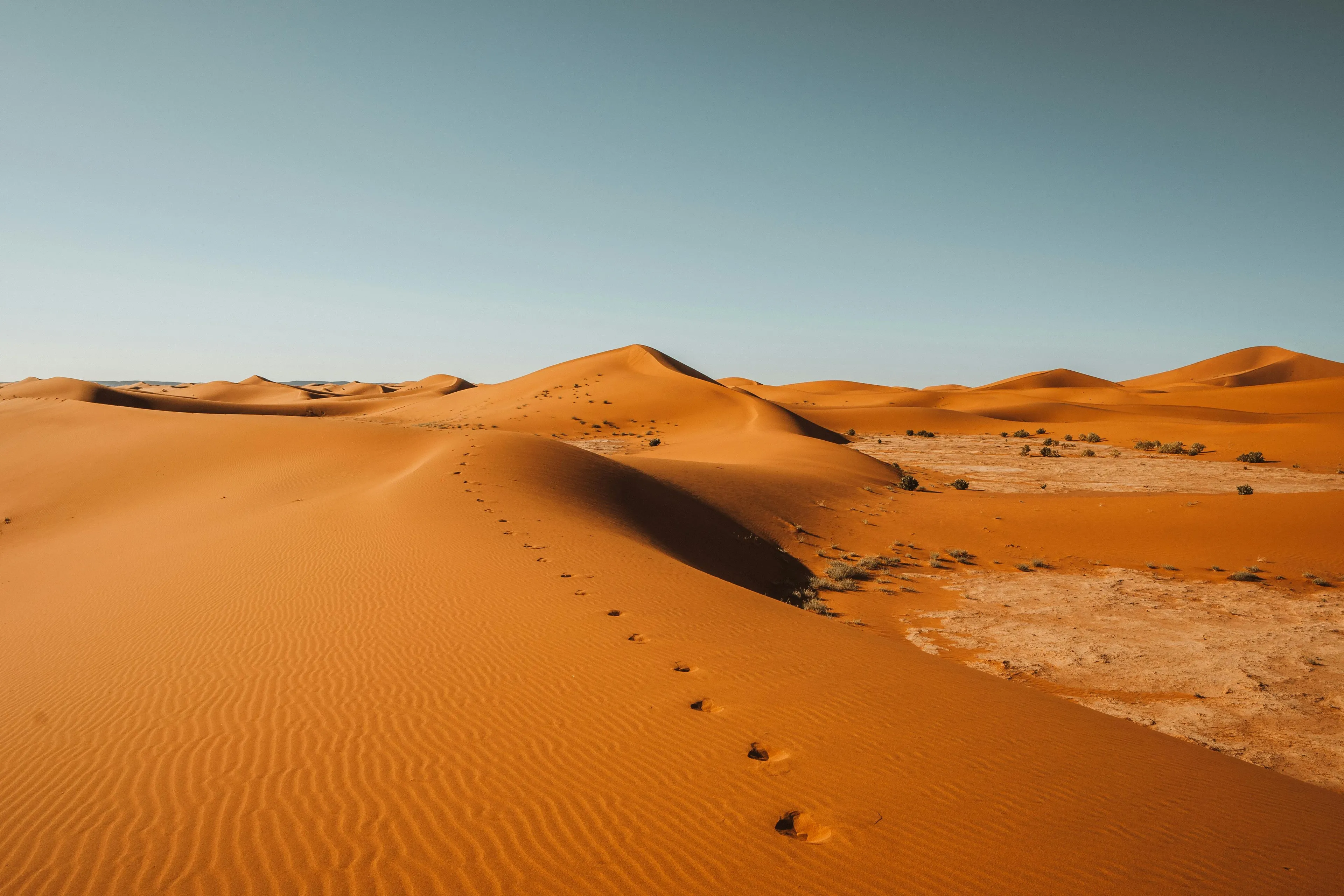 Footprints leading across vast Sahara Desert sand dunes under a clear blue sky in warm desert geography.