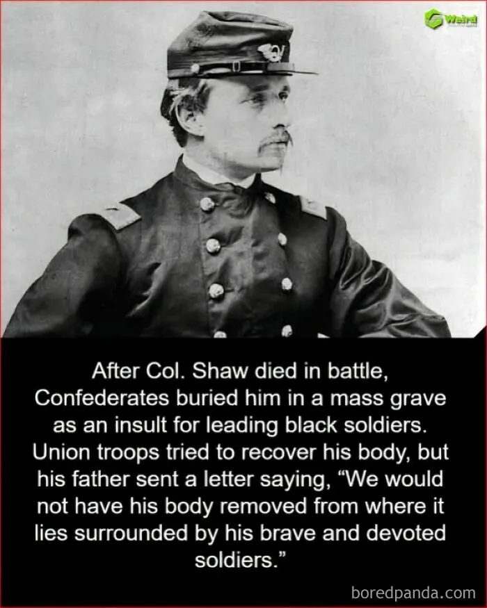 Can't Insult A Good Man