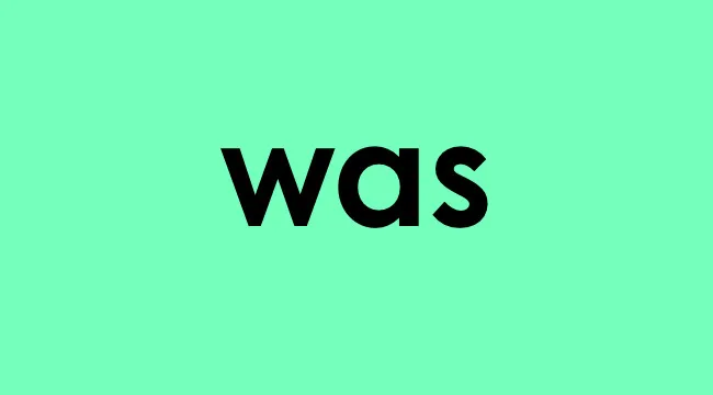 The word was displayed in bold black letters on a light green background illustrating subjunctive form.