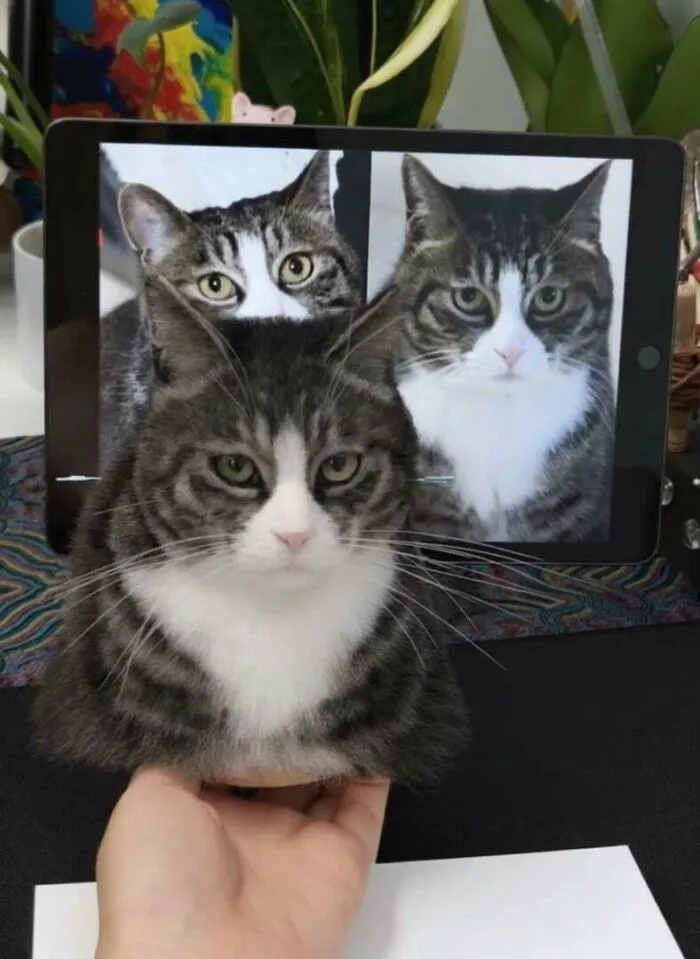 I Needle-Felted This Cat And Tried To Capture His Majestic Indifference