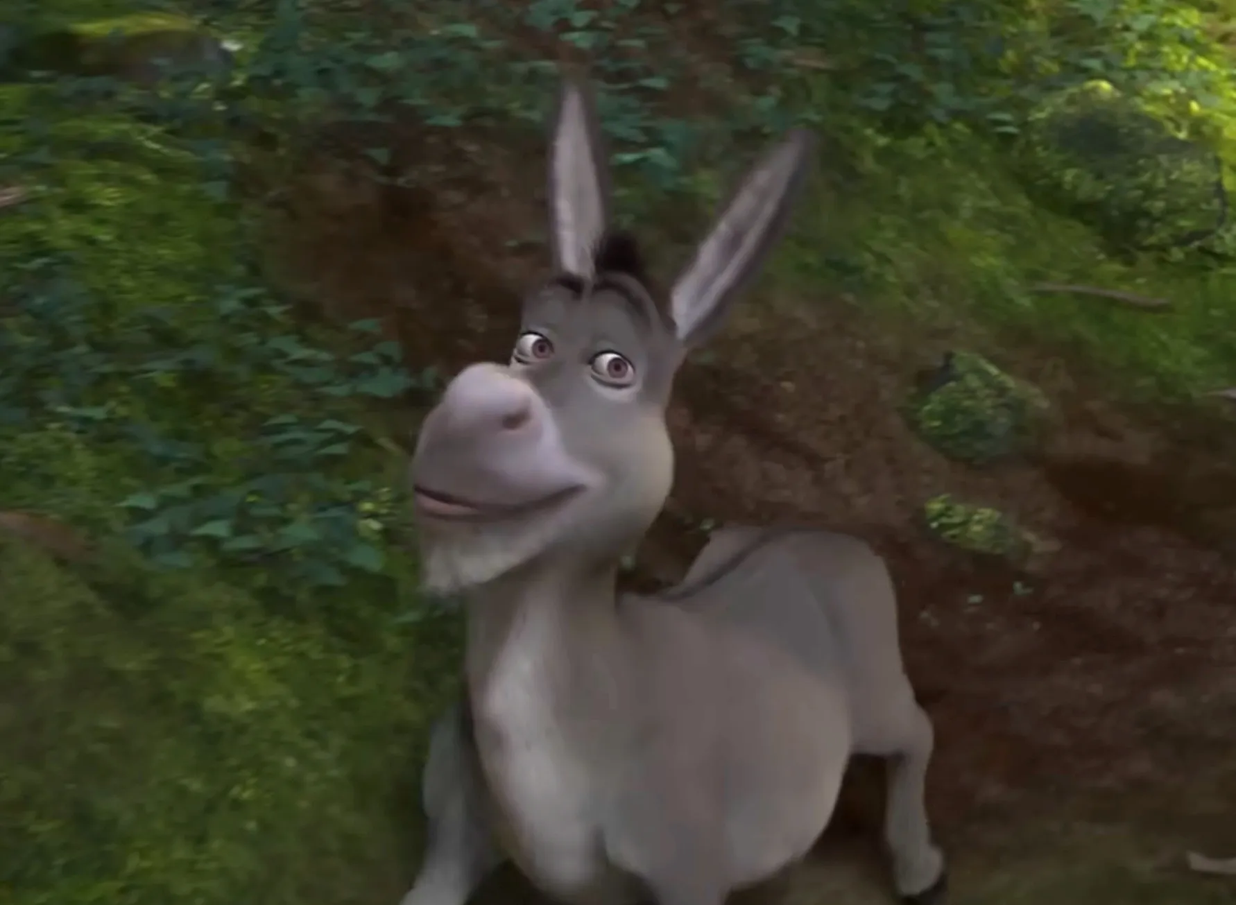 Donkey from Shrek looking up with a forest background, known as Shrek's first sidekick character.