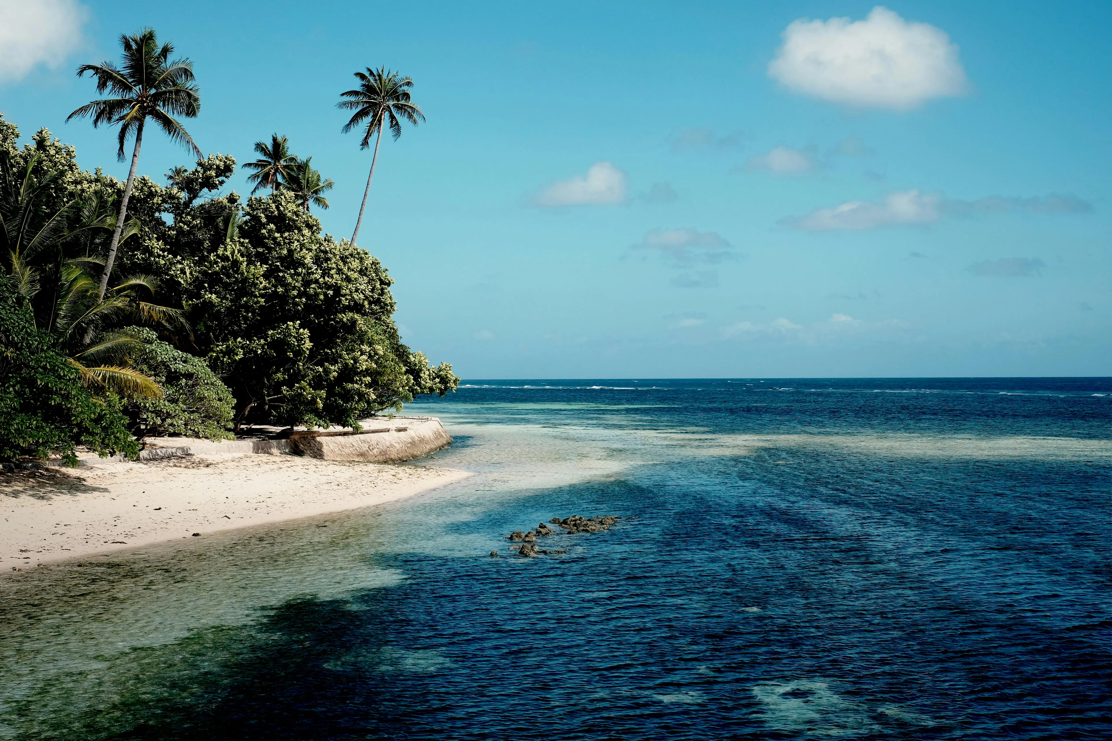 Tropical island shoreline with palm trees and clear blue water representing Indonesia the country with most islands.