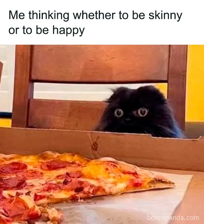 69 Funny Memes For Your Daily Dose Of Cute Animal Content (New Pics)