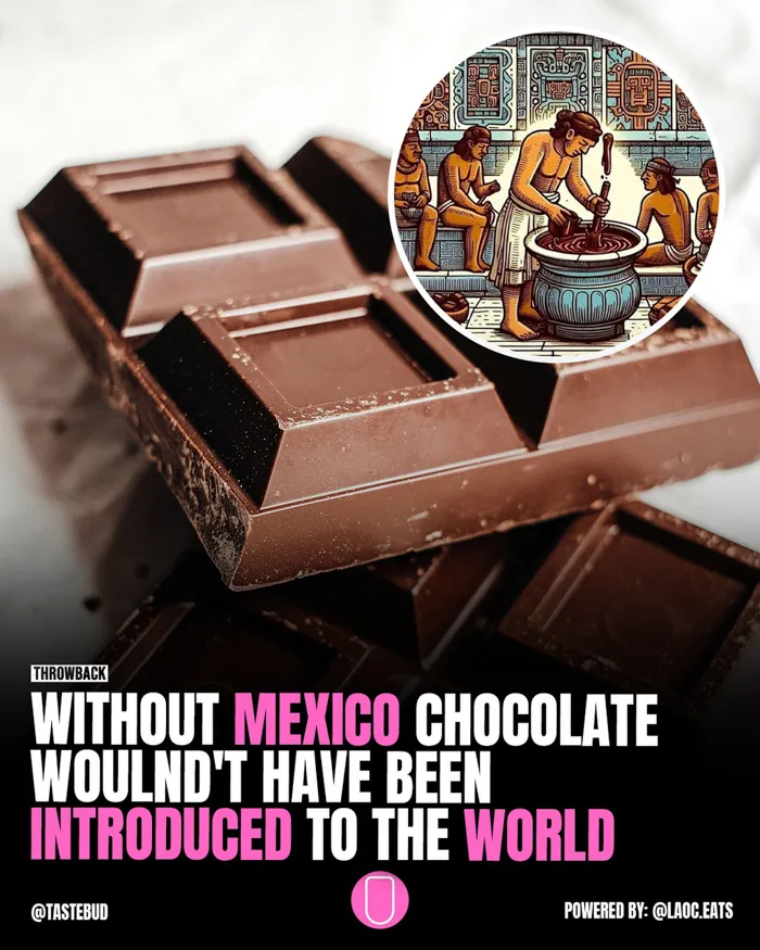 Chocolate Was Born in Mexico