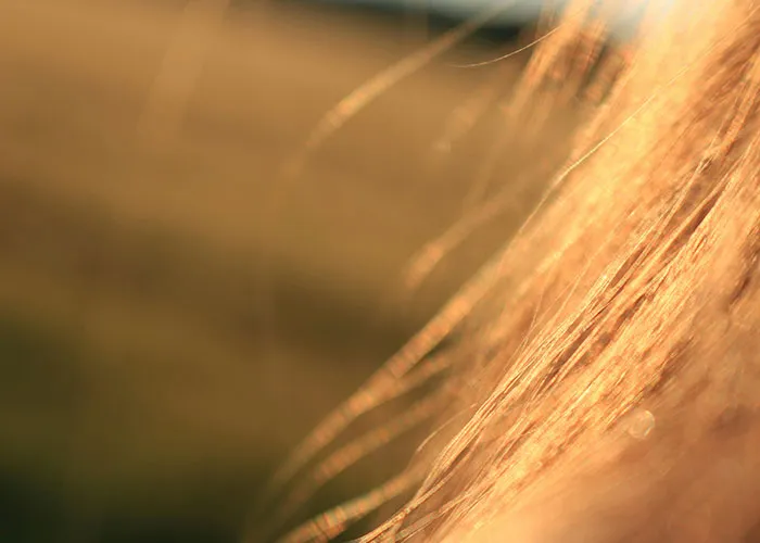 “It’s A Sight I’ll Never Forget”: 50 Unique Physical Features That Fascinated People