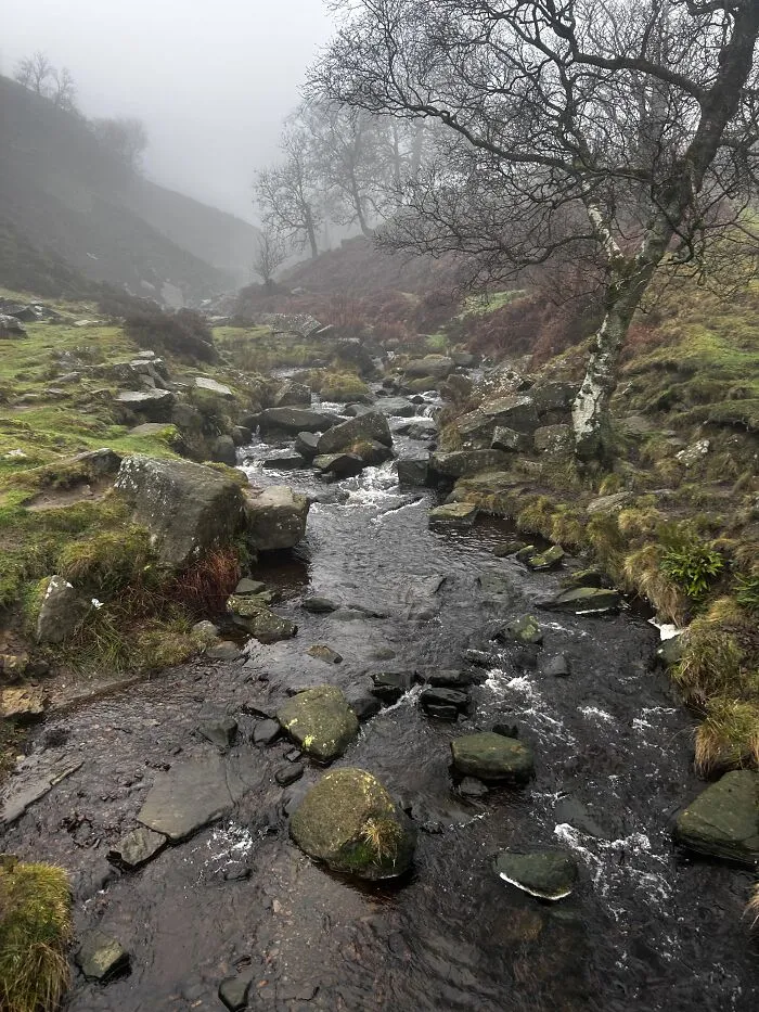 Misty rocky stream flowing through a quiet valley with bare trees and mossy grass in a disappointing tourist attraction setting.