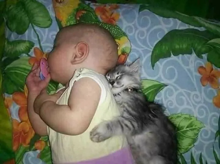 47 Times Humans And Animals Formed The Most Unexpectedly Beautiful Bonds (New Pics)