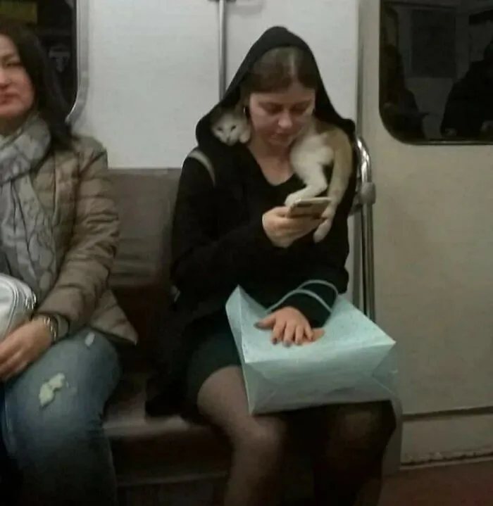 47 Times Humans And Animals Formed The Most Unexpectedly Beautiful Bonds (New Pics)