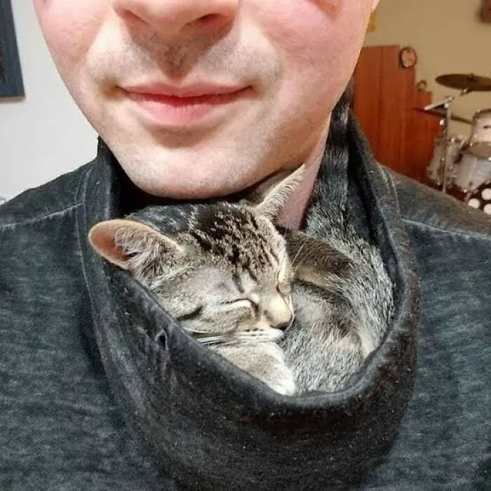 47 Times Humans And Animals Formed The Most Unexpectedly Beautiful Bonds (New Pics)