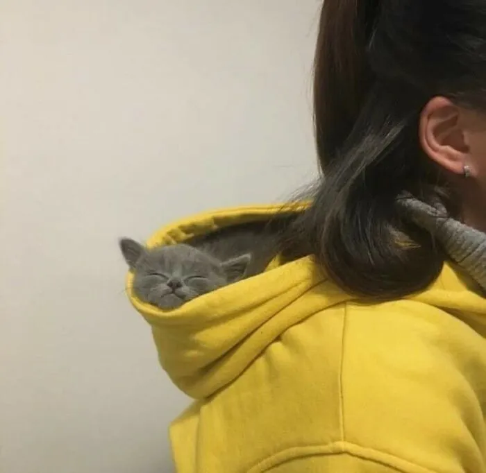 47 Times Humans And Animals Formed The Most Unexpectedly Beautiful Bonds (New Pics)