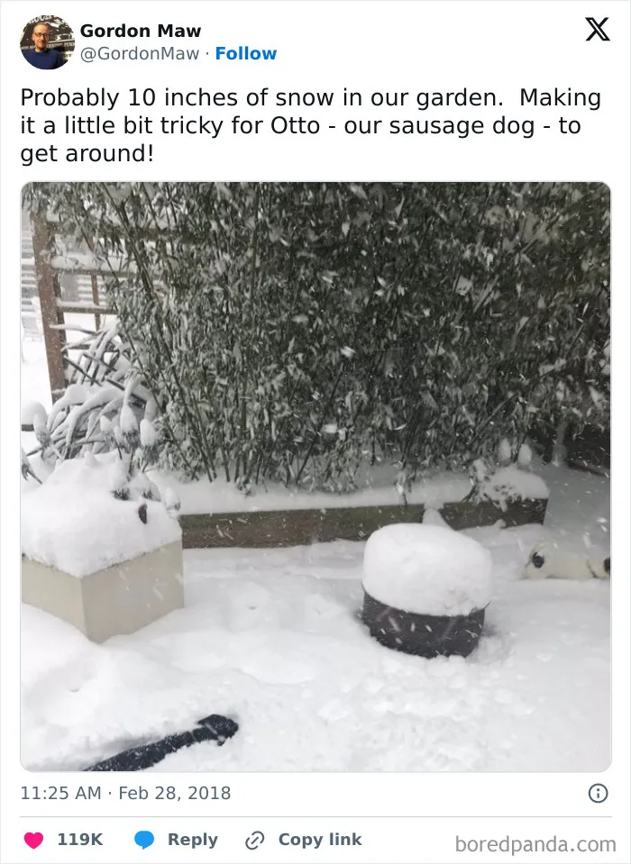 67 Hilarious Tweets That Perfectly Capture Life In Winter
