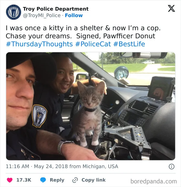 Okay, But Who Thought Of “Pawfficer Donut”?