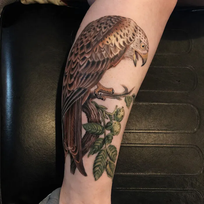 The Timeless Bird Tattoos By Tara Morgan