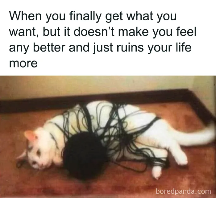 Cat tangled in yarn ball lying on the floor, representing funny memes for moments with no energy or motivation.
