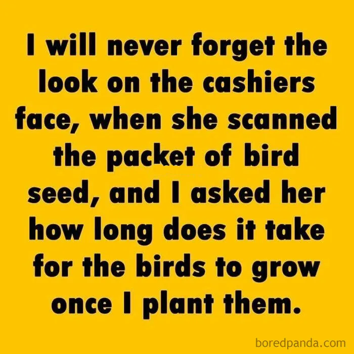 66 Funny Posts For Your Daily Dose Of Dad Jokes (New Pics)