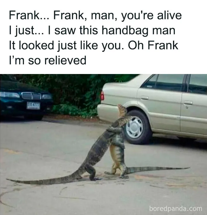 69 Funny Memes For Your Daily Dose Of Cute Animal Content (New Pics)