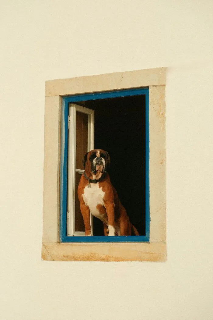 27 Small Joys People Forget To Appreciate, According To Our Community