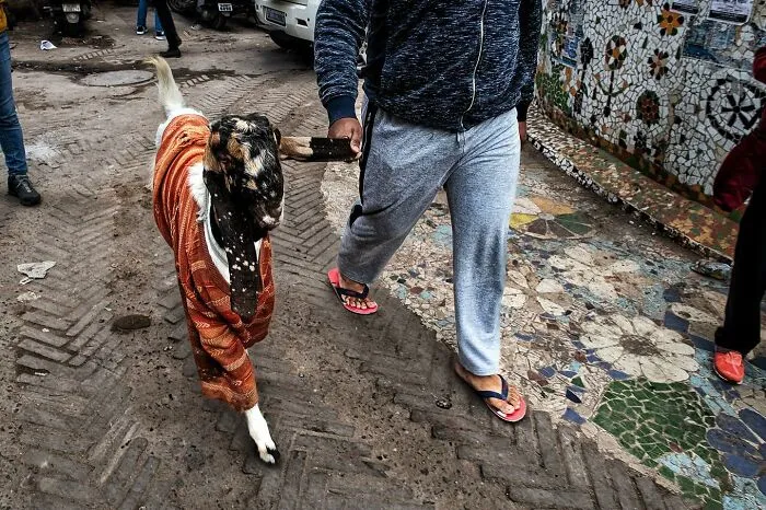 This Street Photographer Captures Raw And Human Moments In Everyday Life (40 Pics)