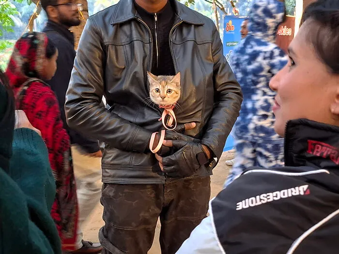16 Adorable Moments I Captured At Paw Carnival 2026