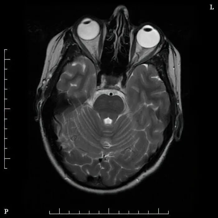 62 Weird Medical Facts That Turned Out To Be True