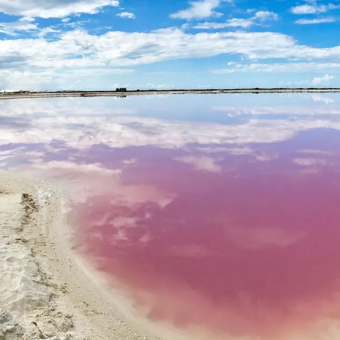 Mexico Has a Bright Pink Lake