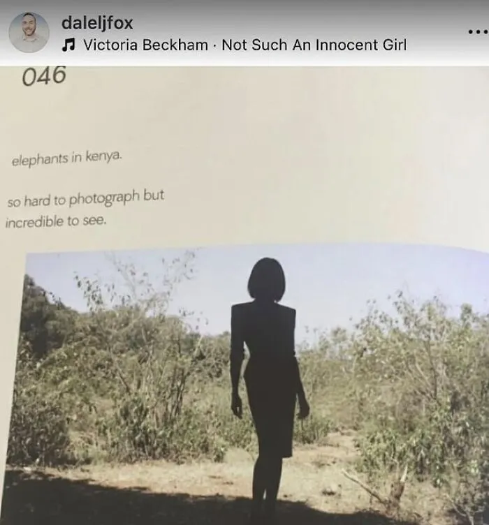 52 Of The Best Reactions And Memes To The Beckham Family Drama