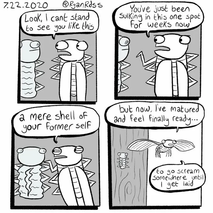 This Artist Created 25 New Comics That Have Unexpected Twists At The End