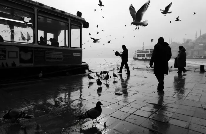 35 New And Captivating Street Photos That Showcase Life’s Unexpected Moments