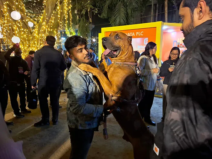 16 Adorable Moments I Captured At Paw Carnival 2026
