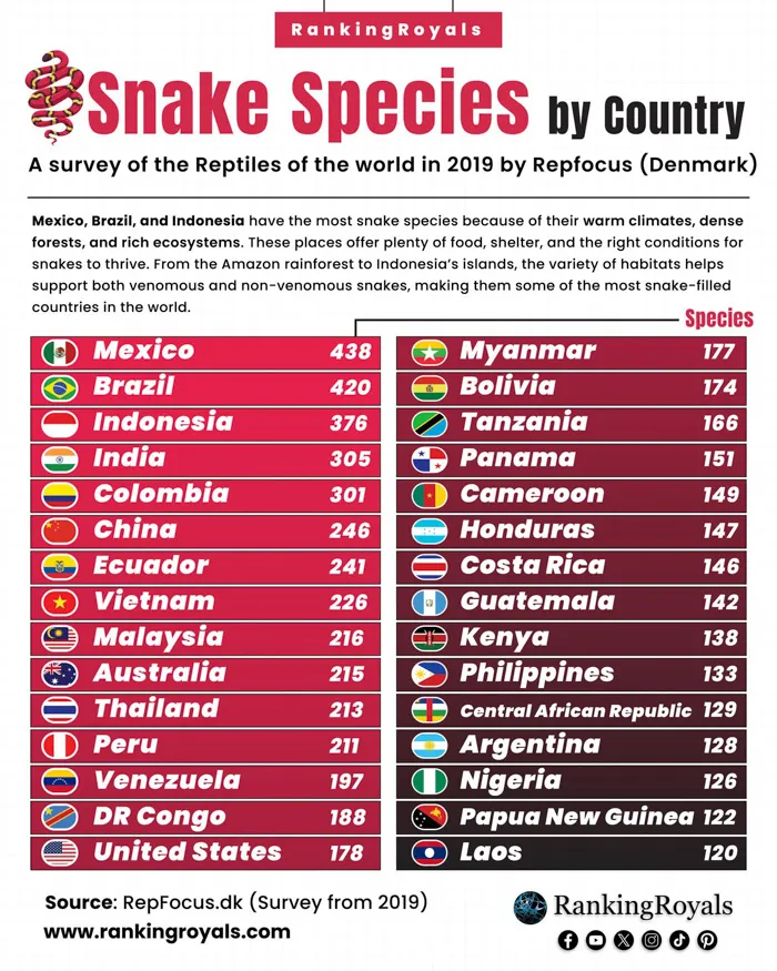 Mexico Has the Second-Highest Number of Reptiles
